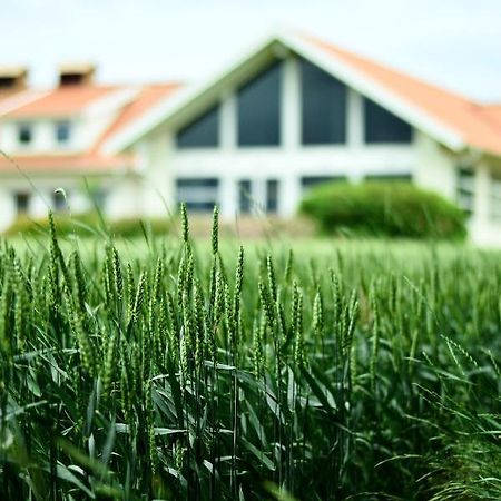 Katrinebergs Folkhoegskola B&B Vessigebro Экстерьер фото