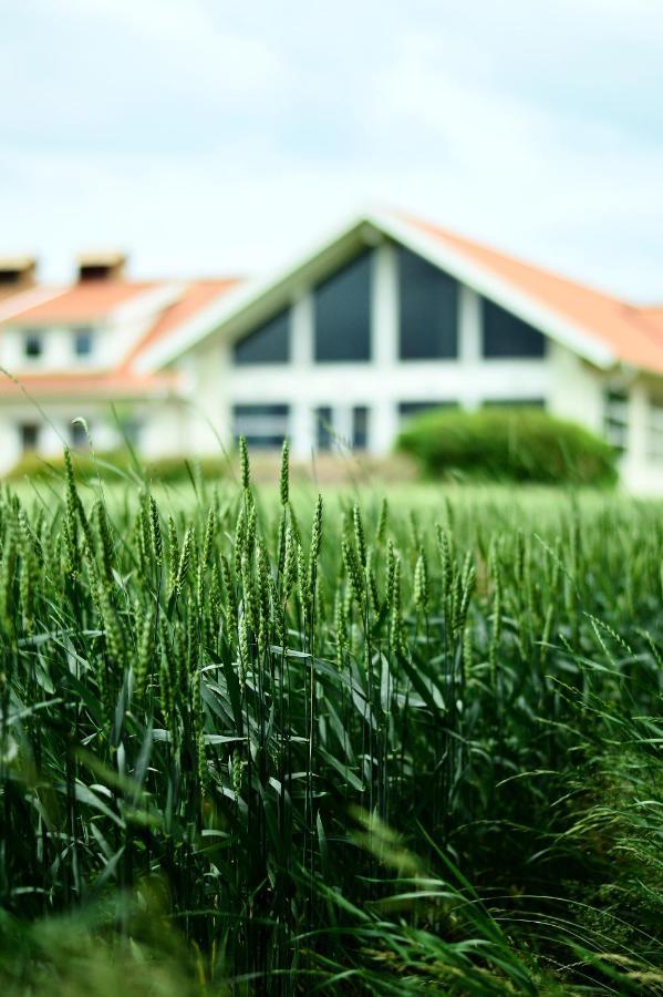 Katrinebergs Folkhoegskola B&B Vessigebro Экстерьер фото